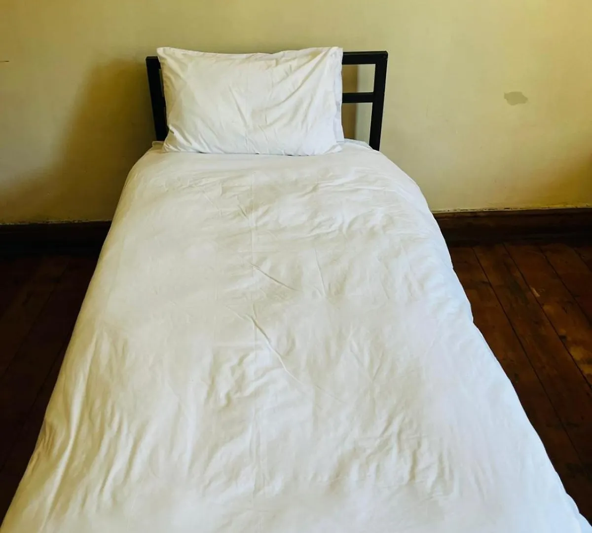 Wobbly Warthog Hotel Cape Town