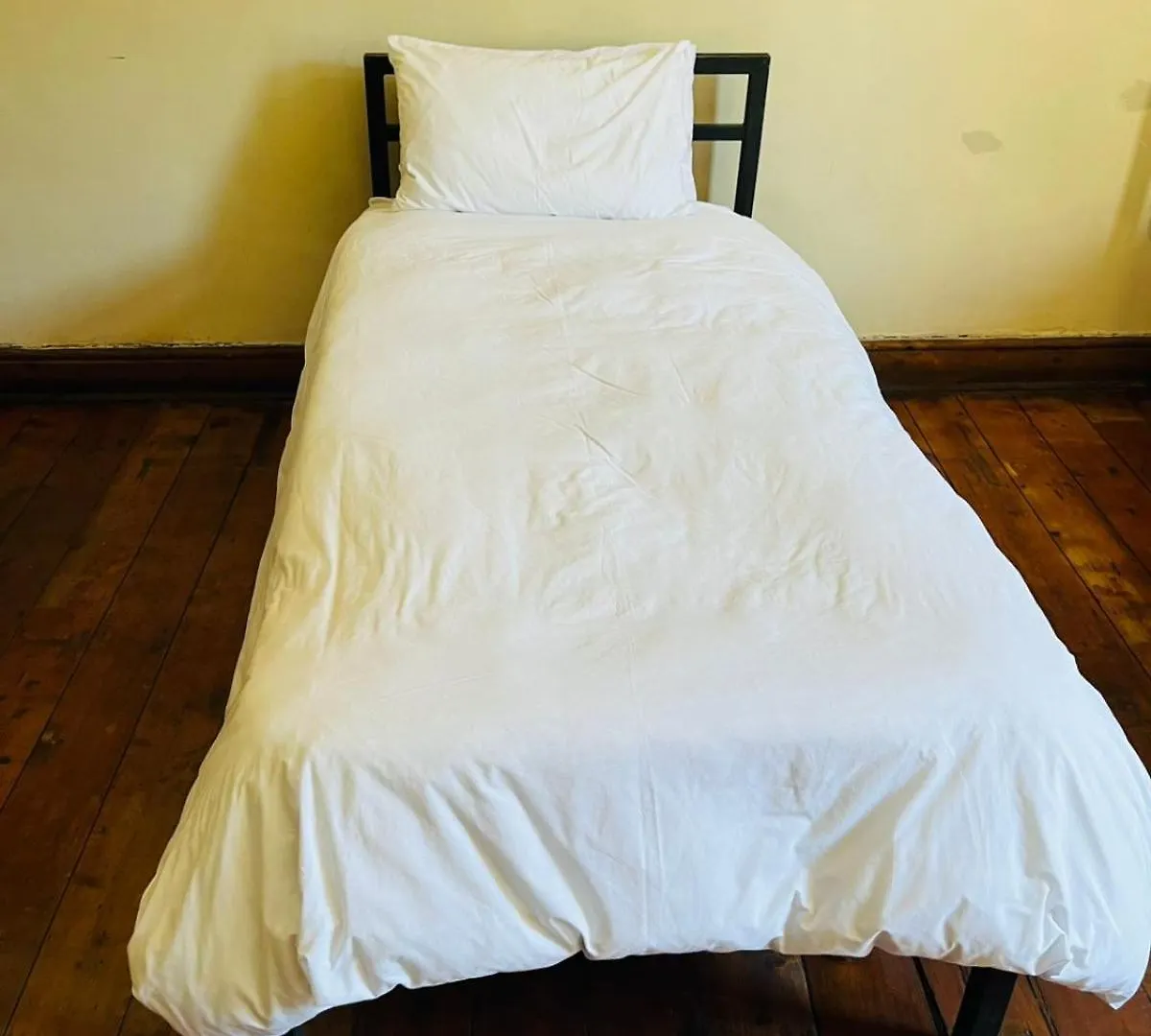Wobbly Warthog Hotel Cape Town