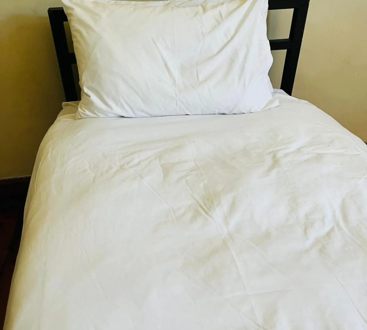 Wobbly Warthog Hotel Cape Town