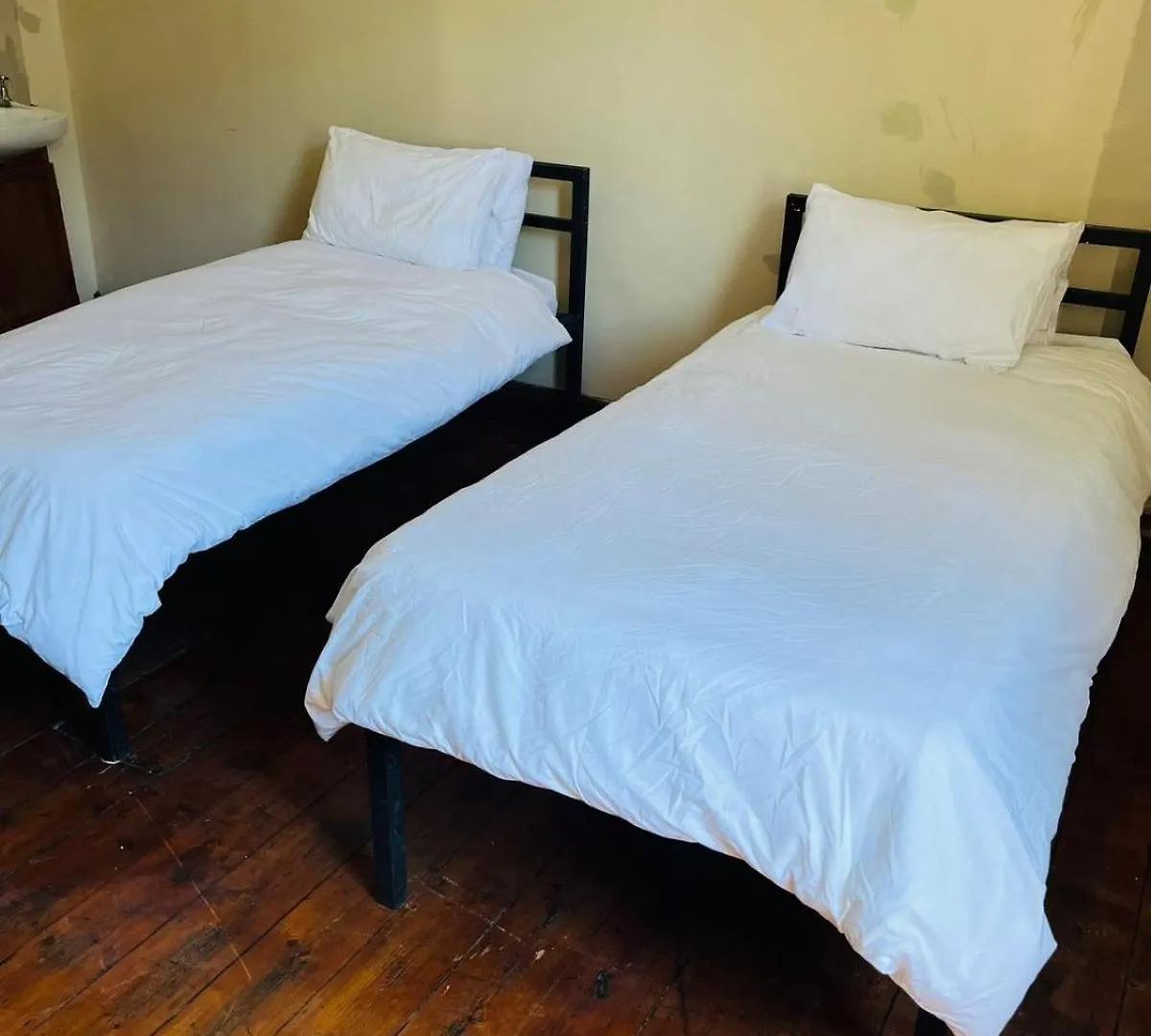 Wobbly Warthog Hotel Cape Town