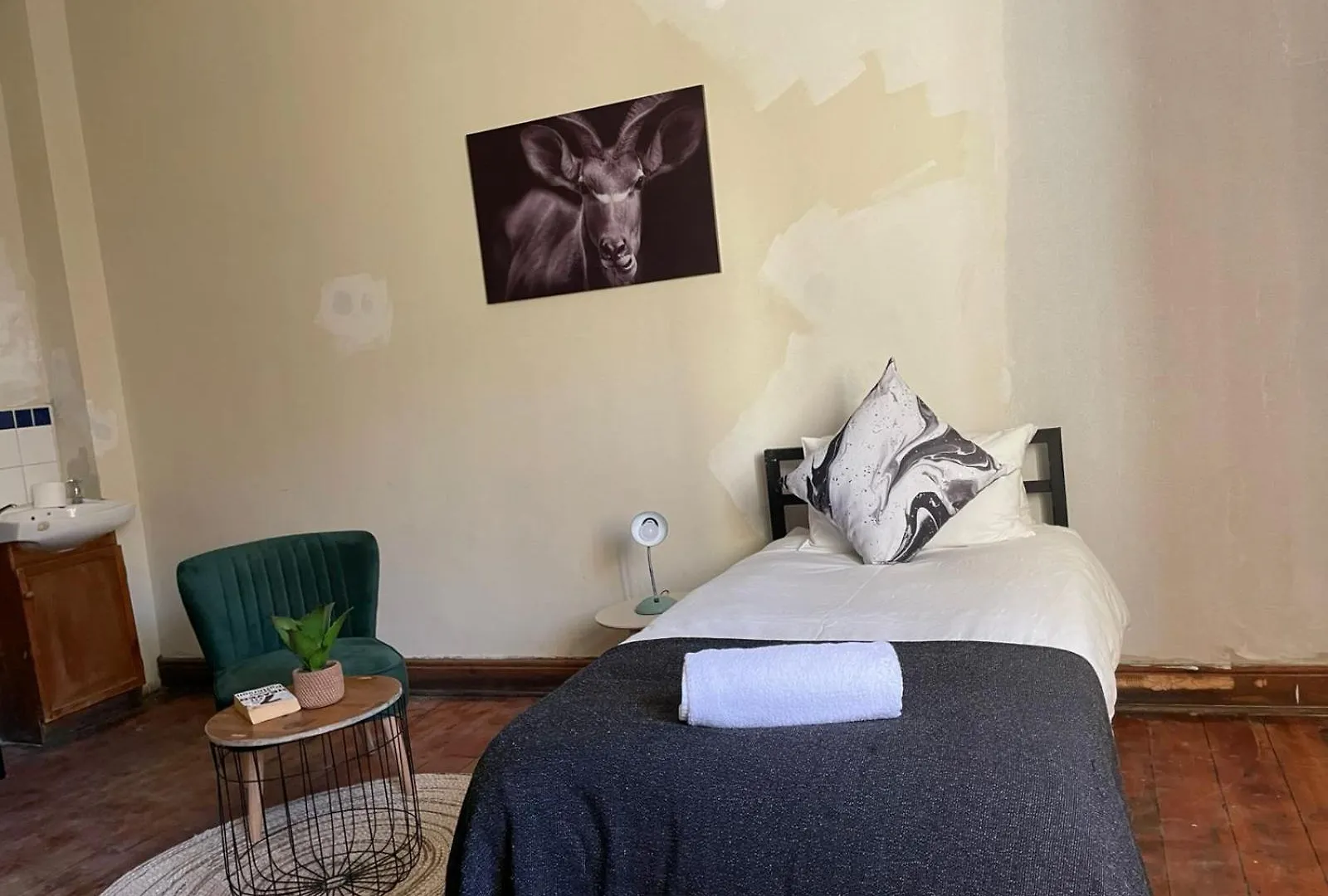 Wobbly Warthog Hotel Cape Town