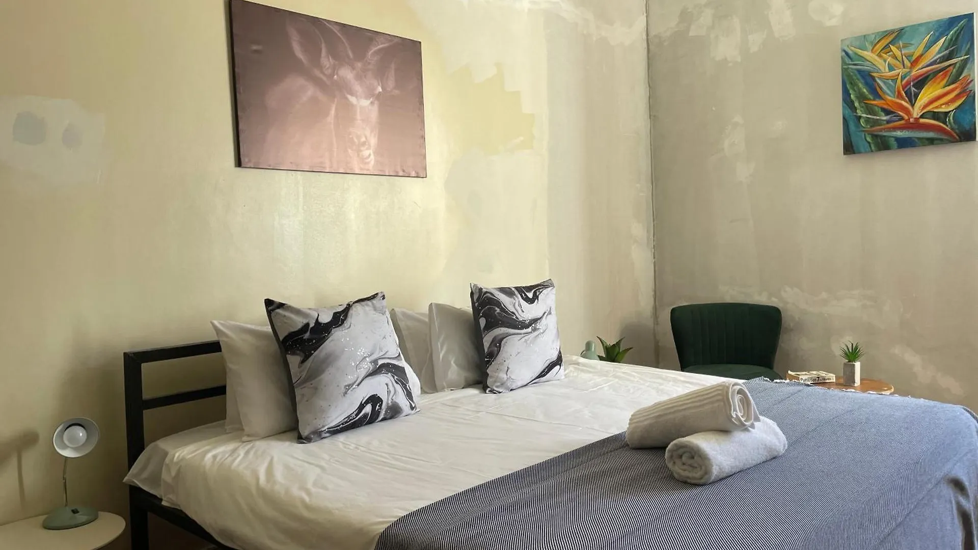 Wobbly Warthog Hotel Cape Town Güney Afrika