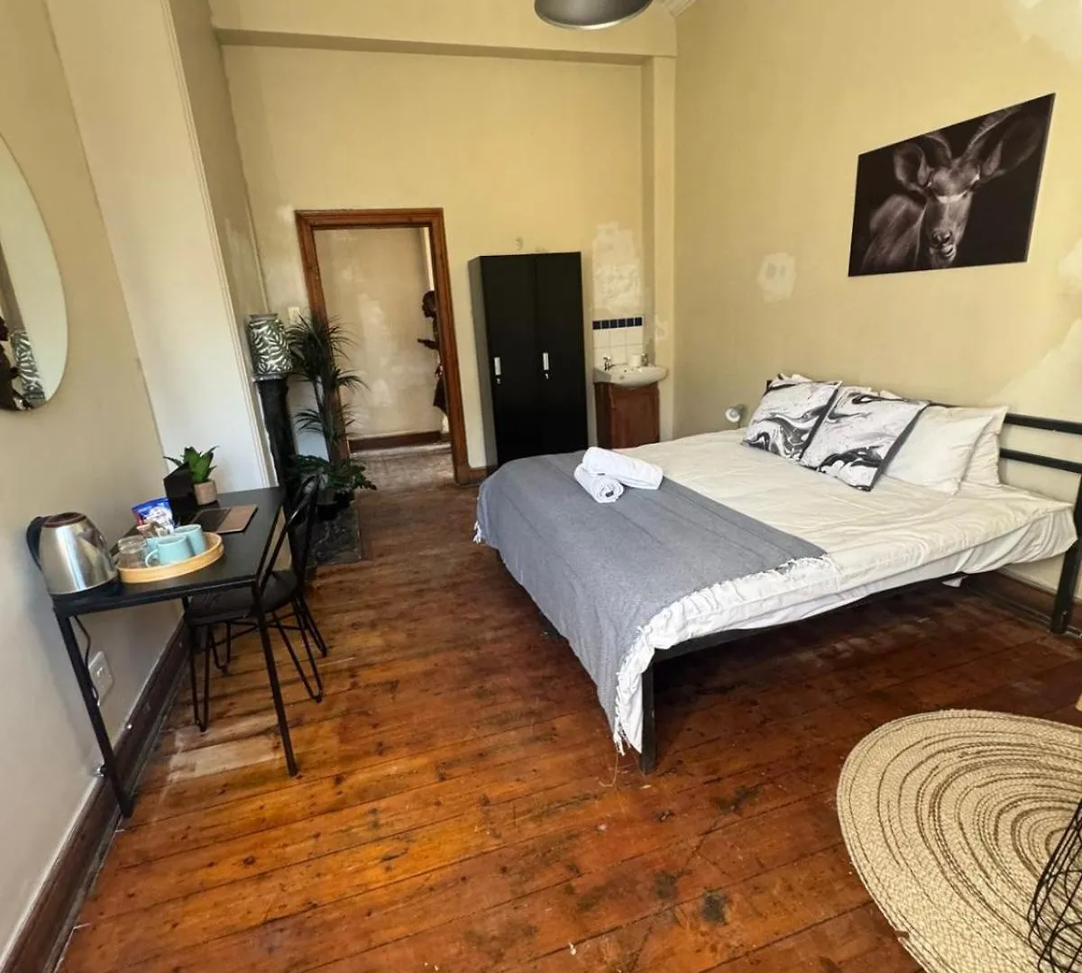 Wobbly Warthog Hotel Cape Town Güney Afrika