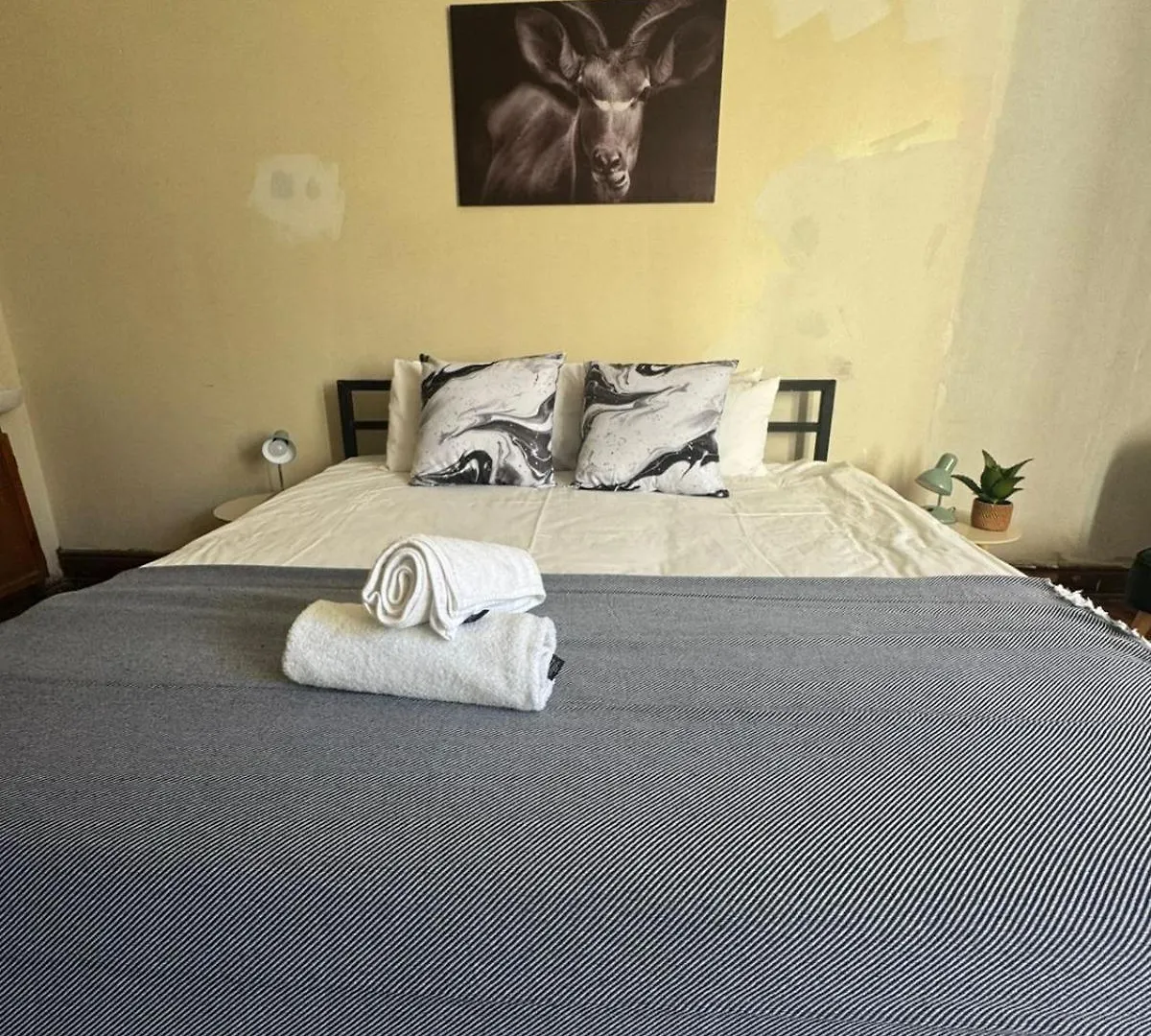 Wobbly Warthog Hotel Cape Town
