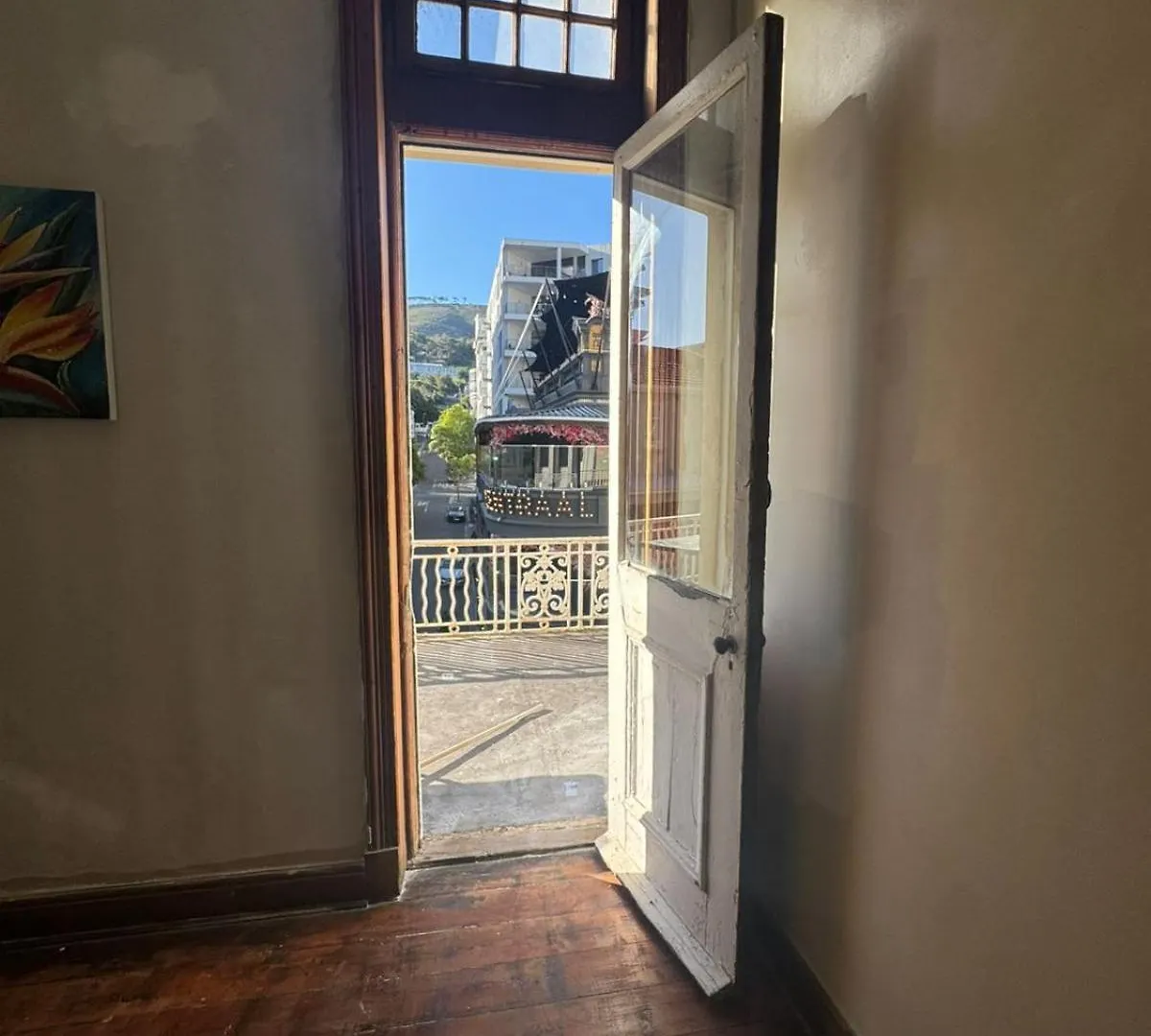 Wobbly Warthog Hotel Cape Town