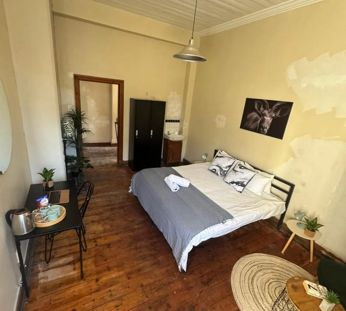 Wobbly Warthog Hotel Cape Town